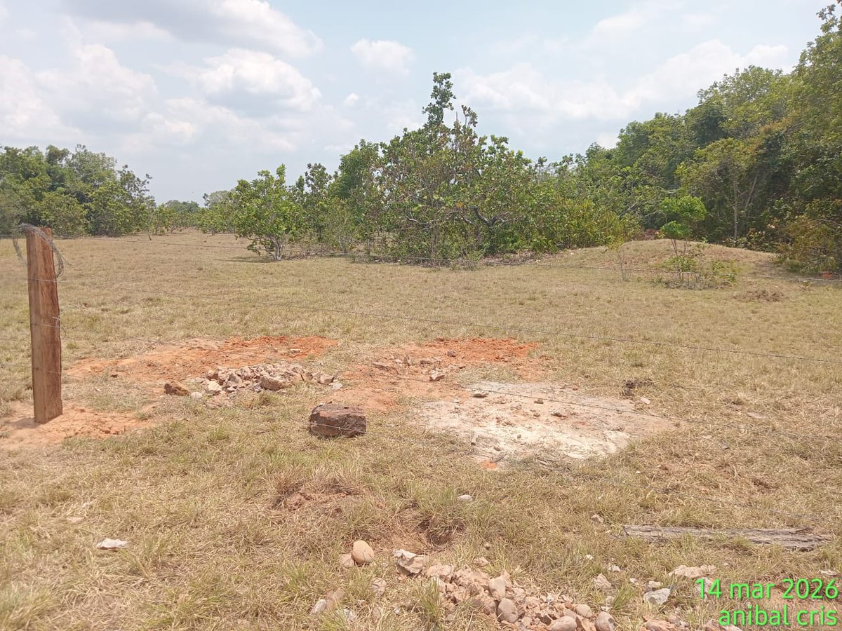 CorpoclaretianaNPB tweet media