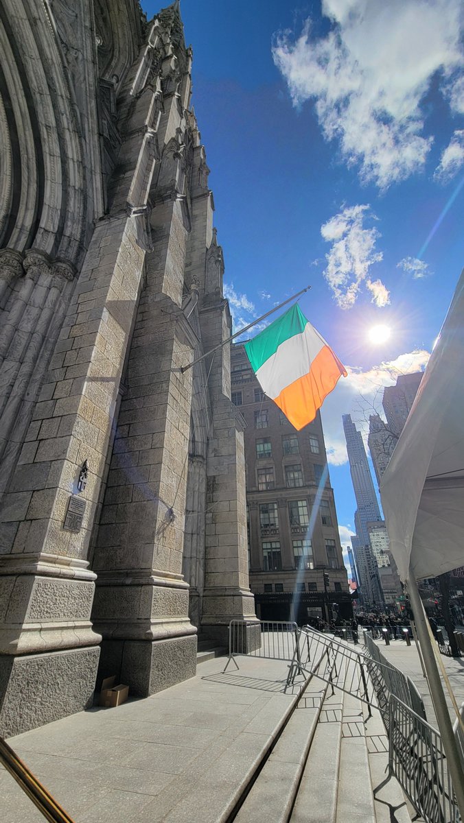 Dan Campbell tweet media