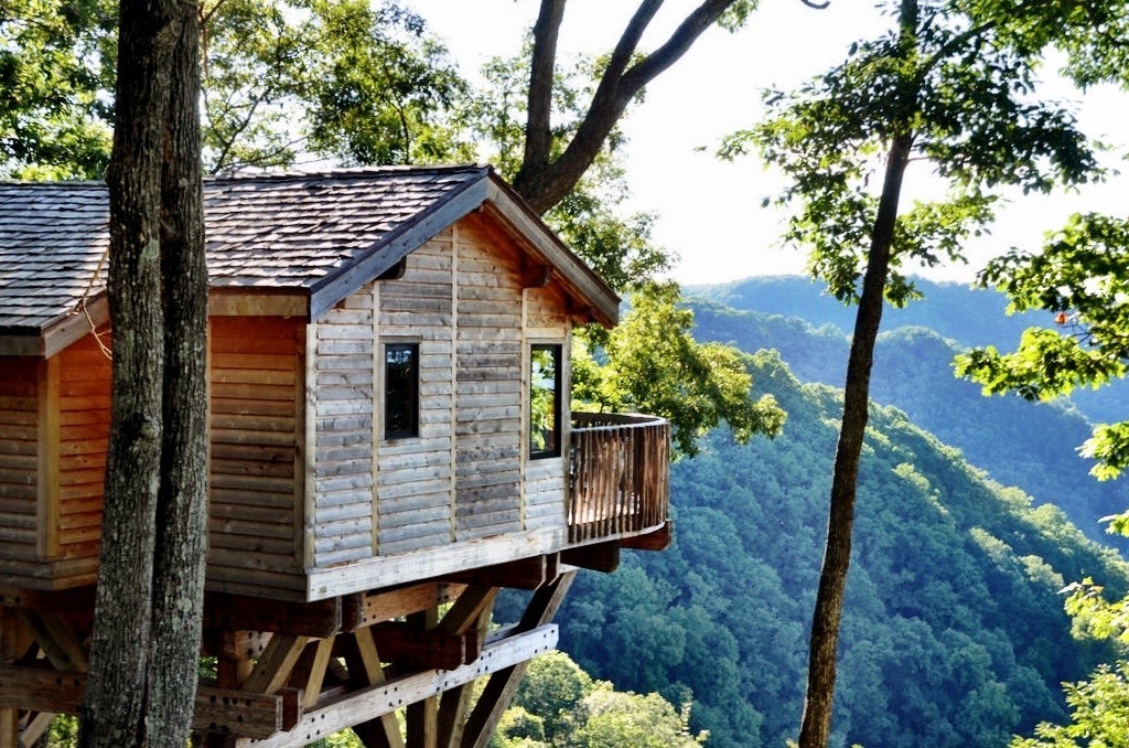 Faulk des Schette tweet media