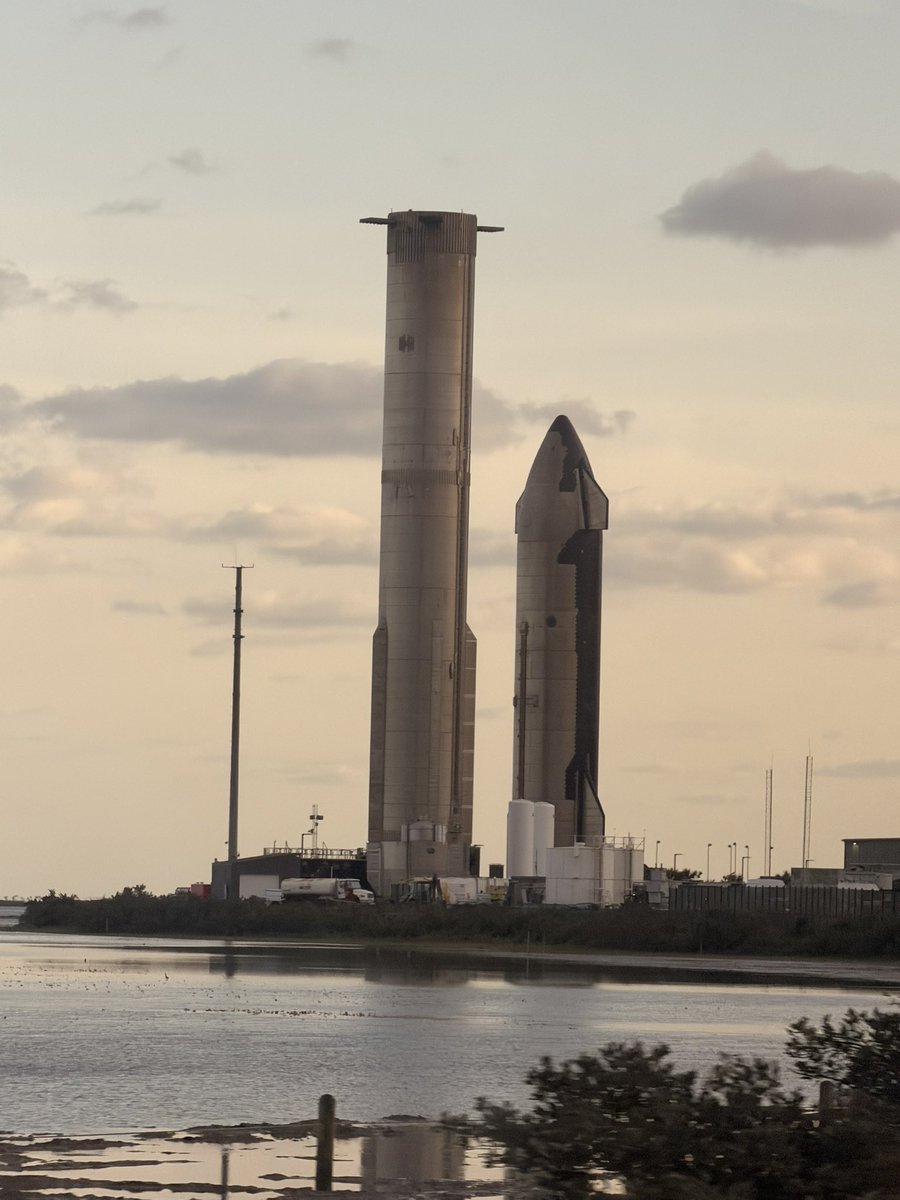 kim possible ☻ tweet media