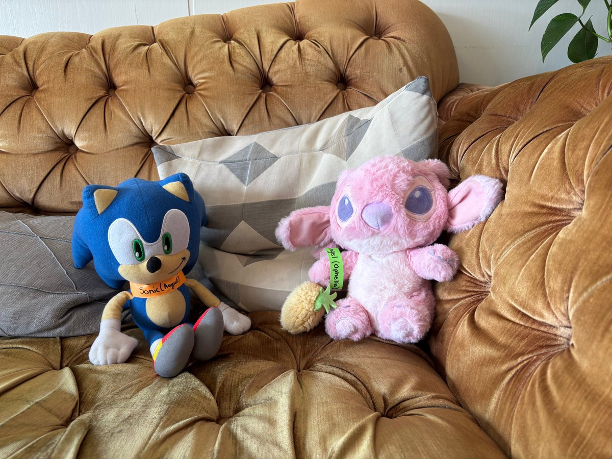 NorfolkPublicLibrary tweet media