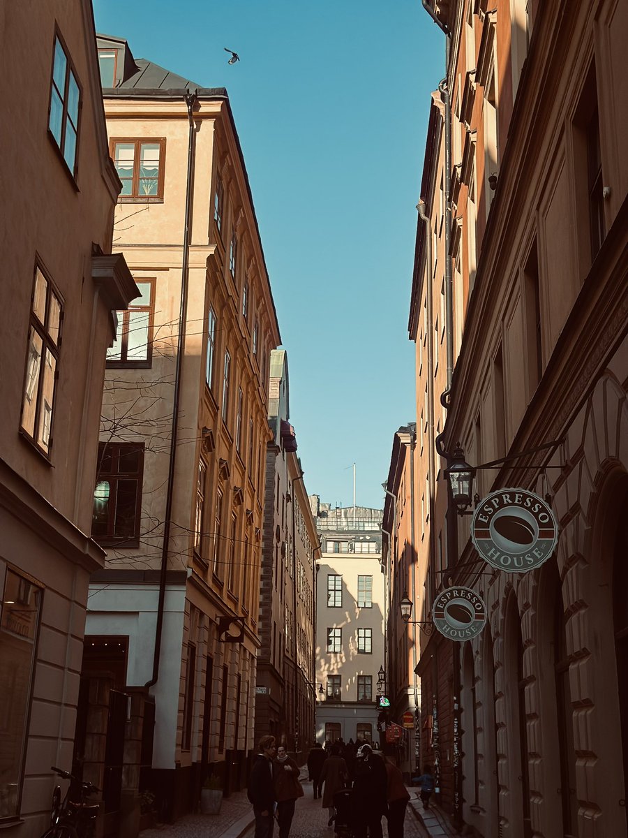 zerebotan's tweet image. Stockholm 🖤

#traveling 
#pictures 
#Lovely
