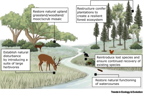 Trends in Ecology & Evolution tweet media