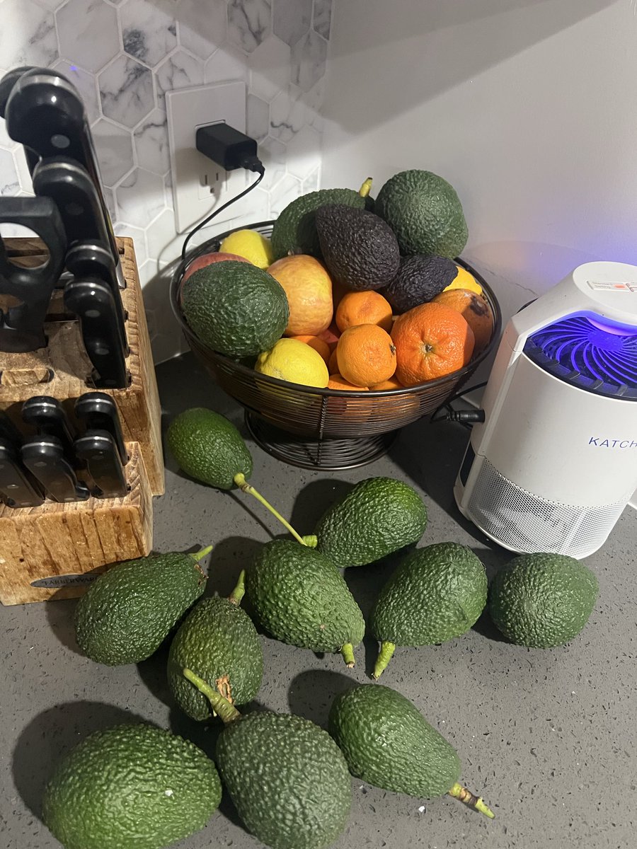 Chris Pettit tweet media