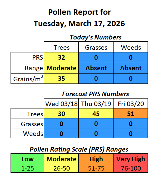 Forsyth County, NC Pollen tweet media
