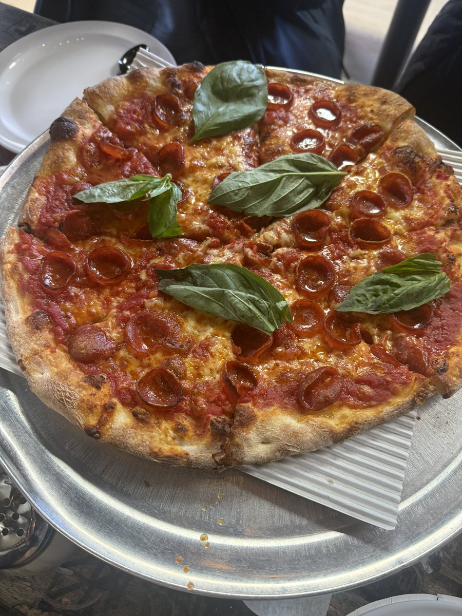 Seggie of SNC tweet media