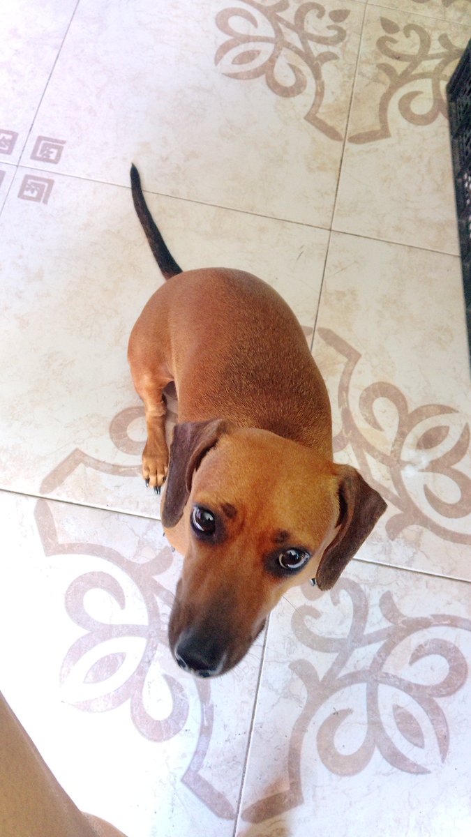 MillySweet | ˑ˚₊ ☁︎ 𝑨𝑫 ☁︎ ₊˚ˑ tweet media