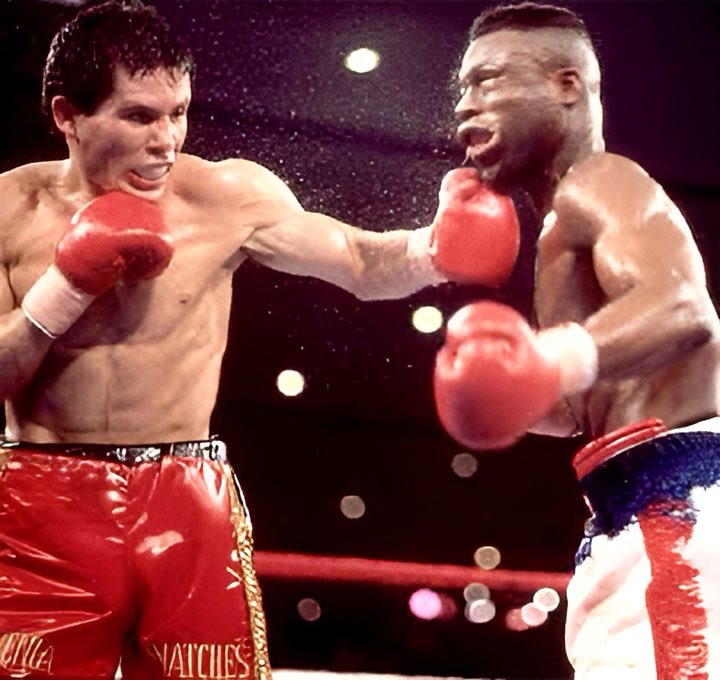 World Boxing Council tweet media