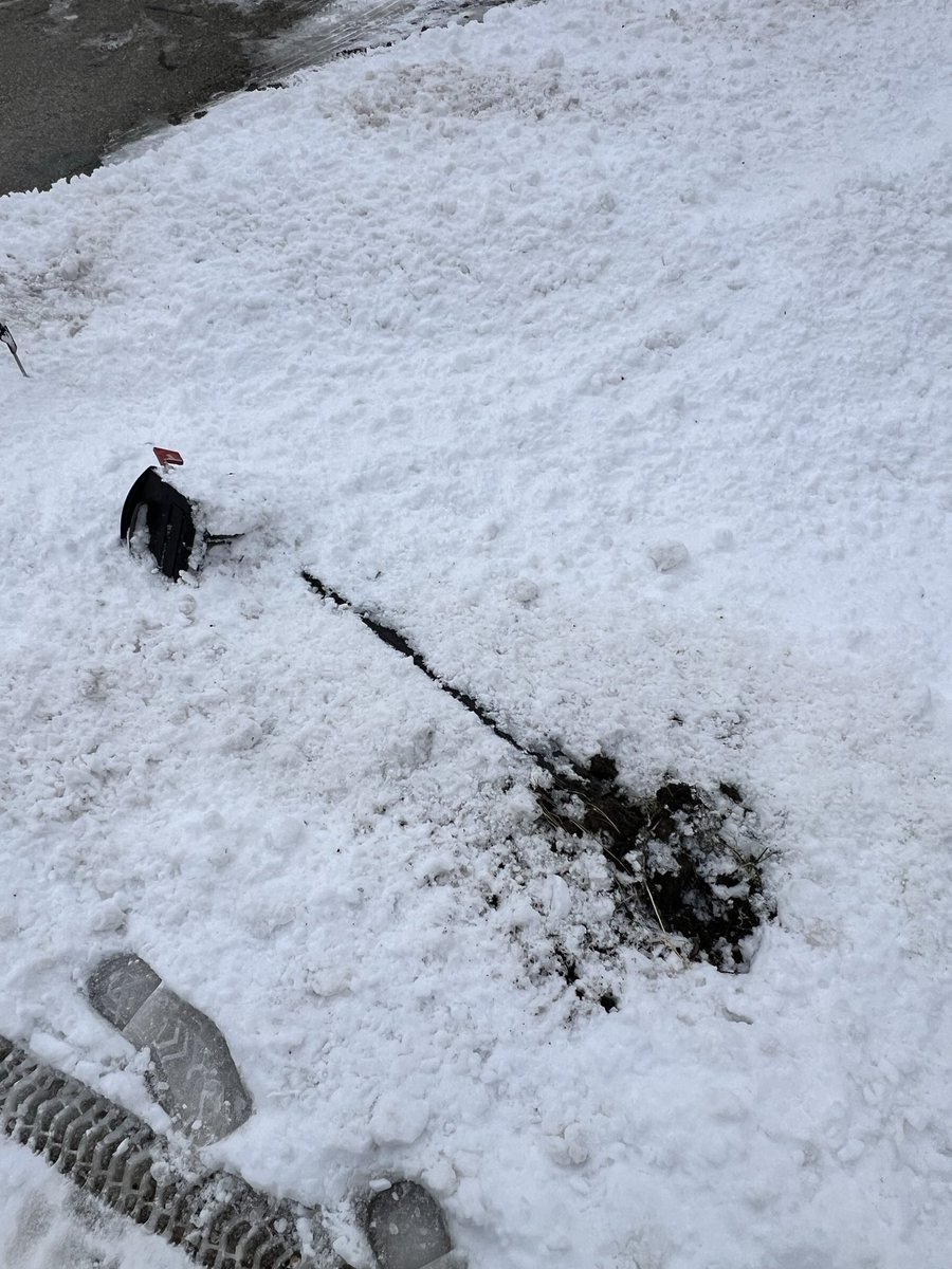 They Call me the Snowman, cooooomooooon! tweet media