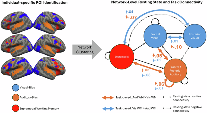 Communications Biology tweet media