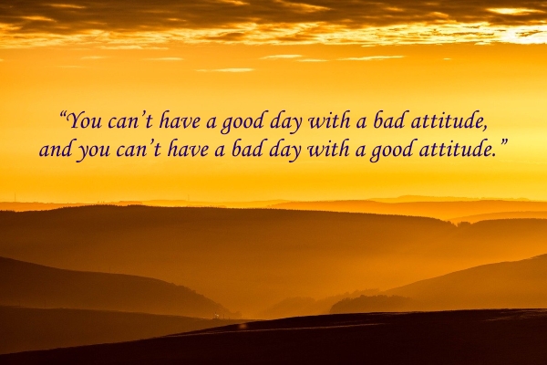 TrainingMindful's tweet image. #attitude