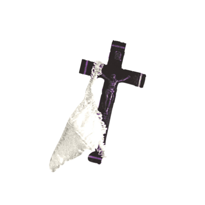 two-headed calf tweet media