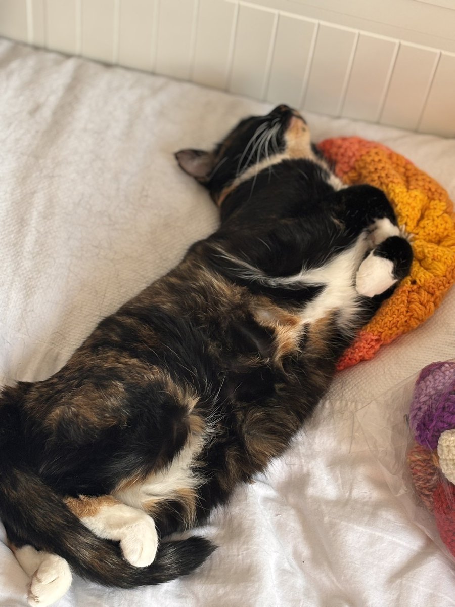 Professor Pingosaurus tweet media