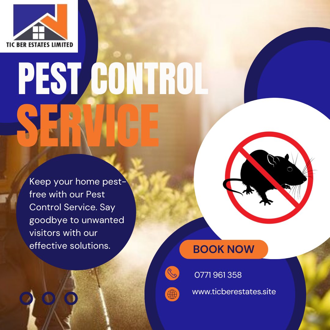 tic_ber2's tweet photo. Rats are more than a nuisance—they spread diseases and damage property. 🐀

Protect your home and business with our professional rat fumigation services. Safe, effective, and reliable solutions you can trust.

Book your free inspection today! https://t.co/nYnqn3ev9y