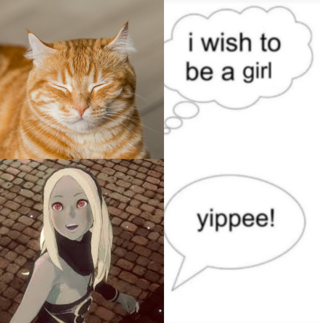 暗い頭 tweet media