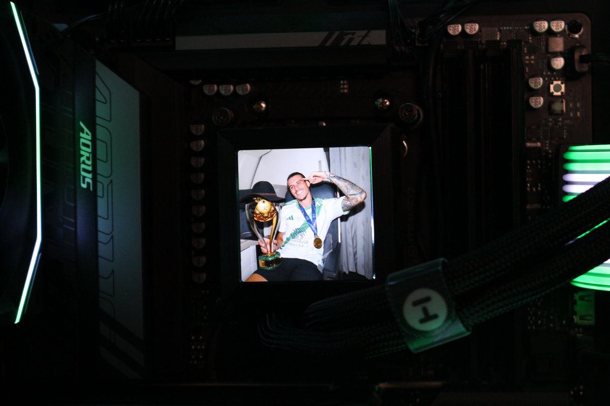 محمد tweet media