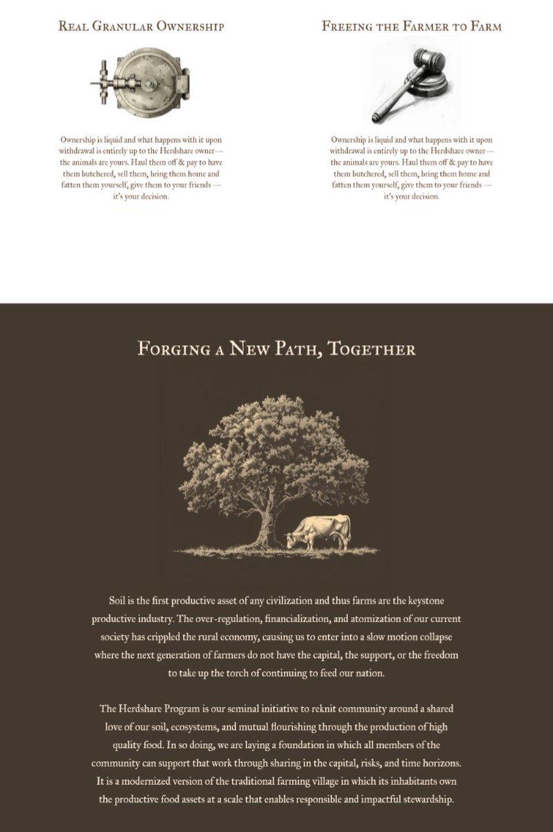 Untapped Growth⚔️👑⚔️ tweet media