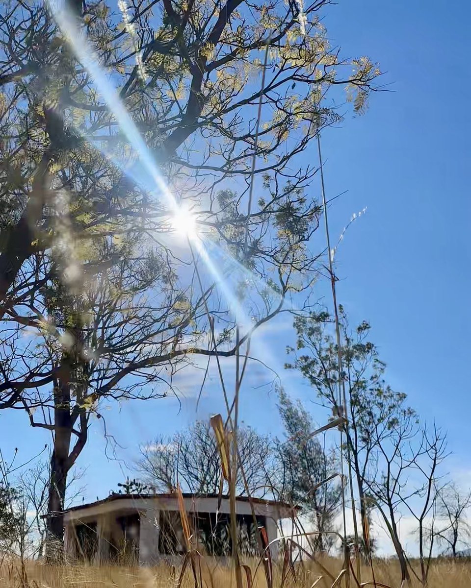 RafaKaxioRutas's tweet photo. Cargar energía antes de seguir ⚡️☀️

Un poco de sol, aire libre y tiempo para dejar que las ideas fluyan solas. Sin tanto rollo, solo aprovechando el día y el momento.

#RafaKaxio #Rutas #Lifestyle #Mexico #Daily https://t.co/YJZj2ijKyg
