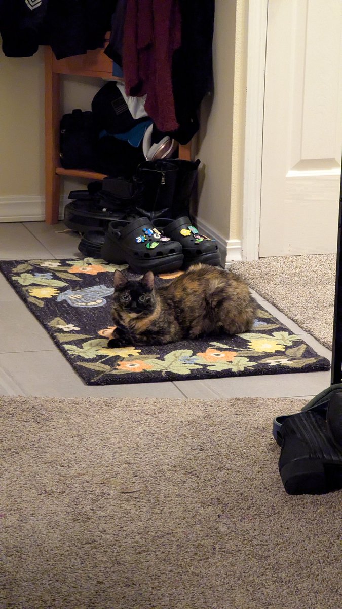 vivi 🪷🐟 tweet media