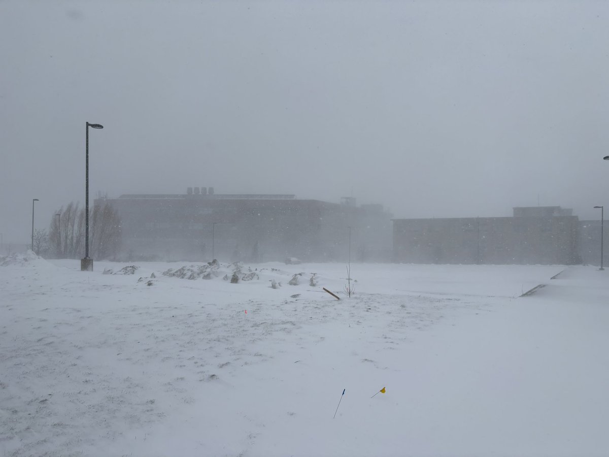 Scott Steiger tweet media