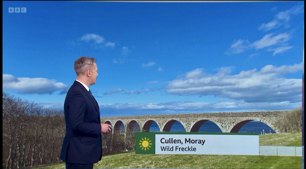 Debby Thorne tweet media