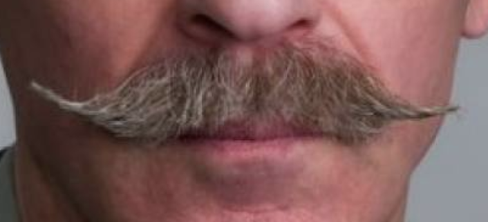 Flavius Mercelius tweet media