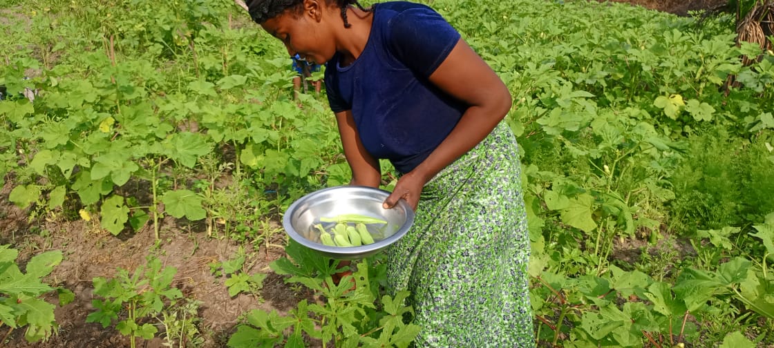 FAO en République centrafricaine tweet media