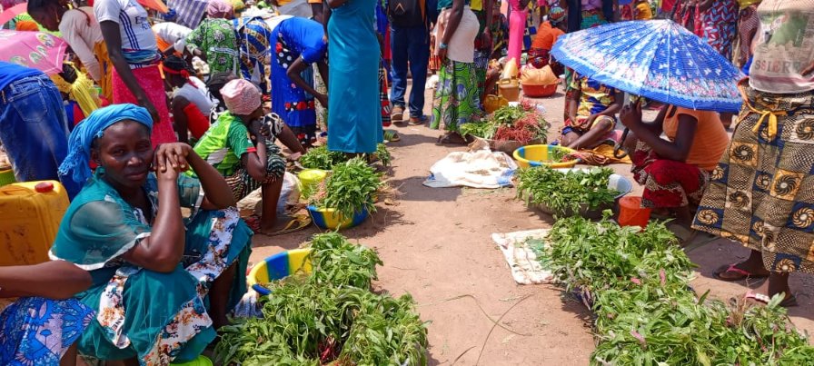 FAO en République centrafricaine tweet media