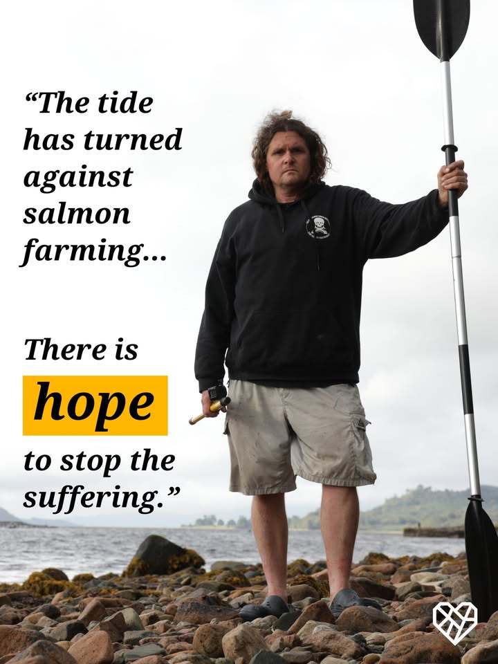 The Humane League UK tweet media