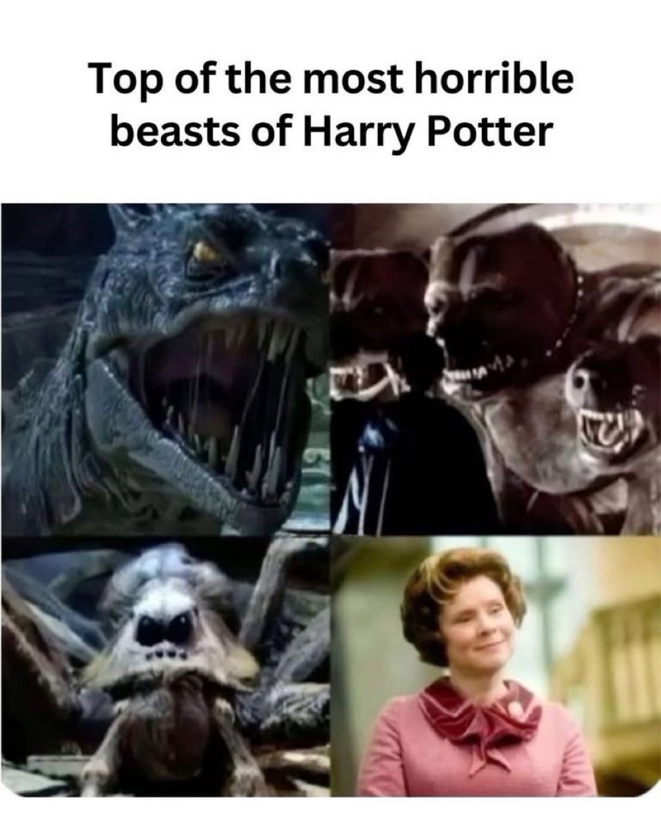 Daily Harry Potter tweet media