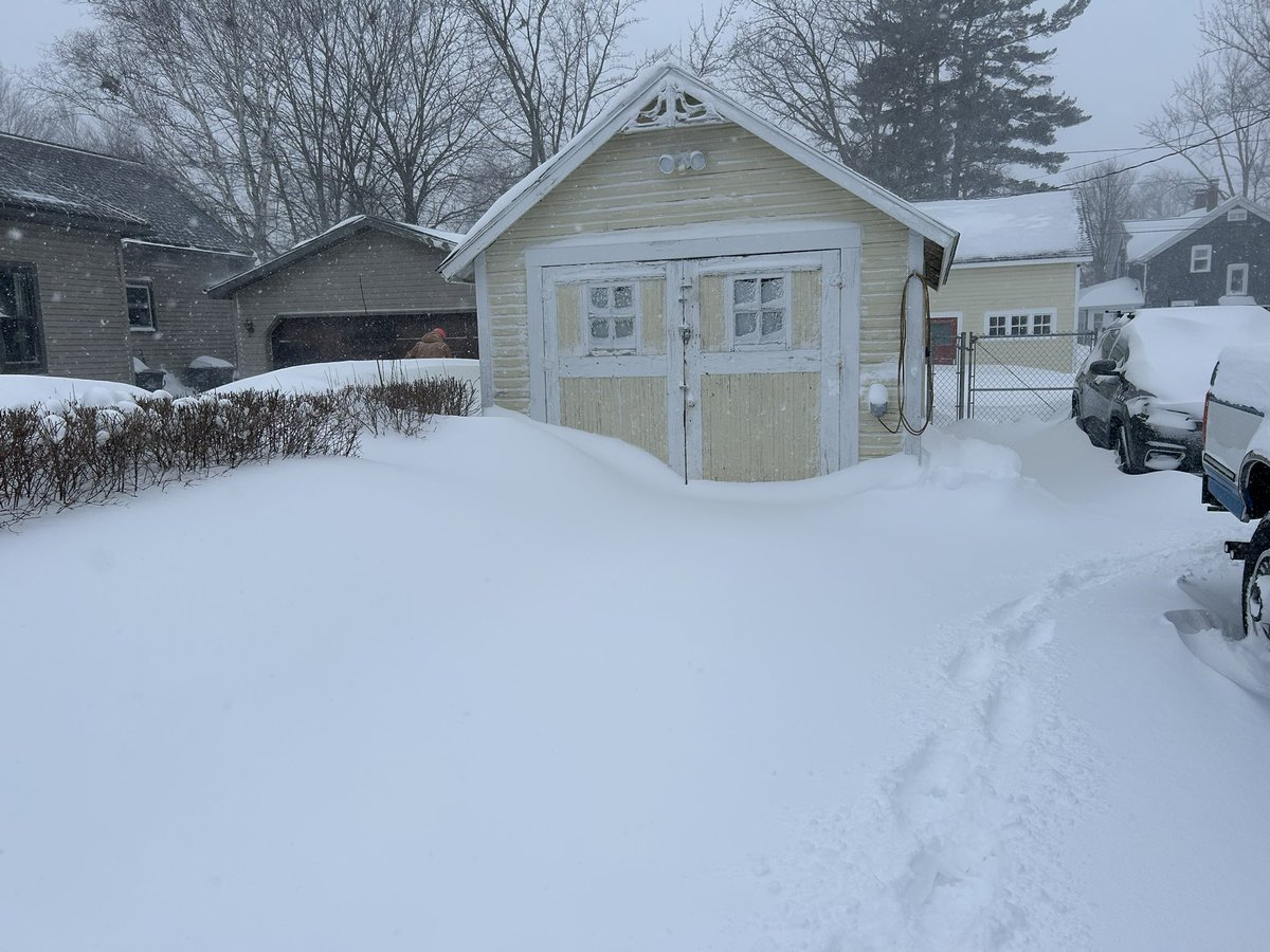 Will-Rankin tweet media