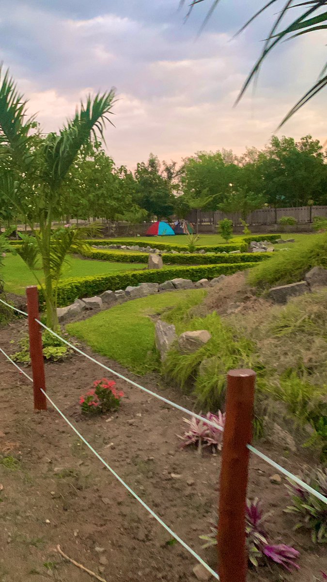 Afua💕 tweet media