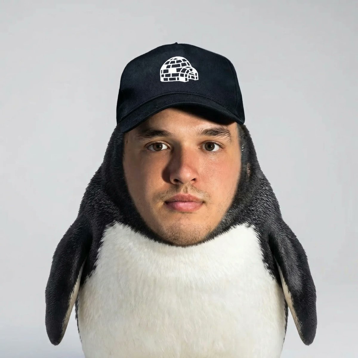 Nikola Ω tweet media