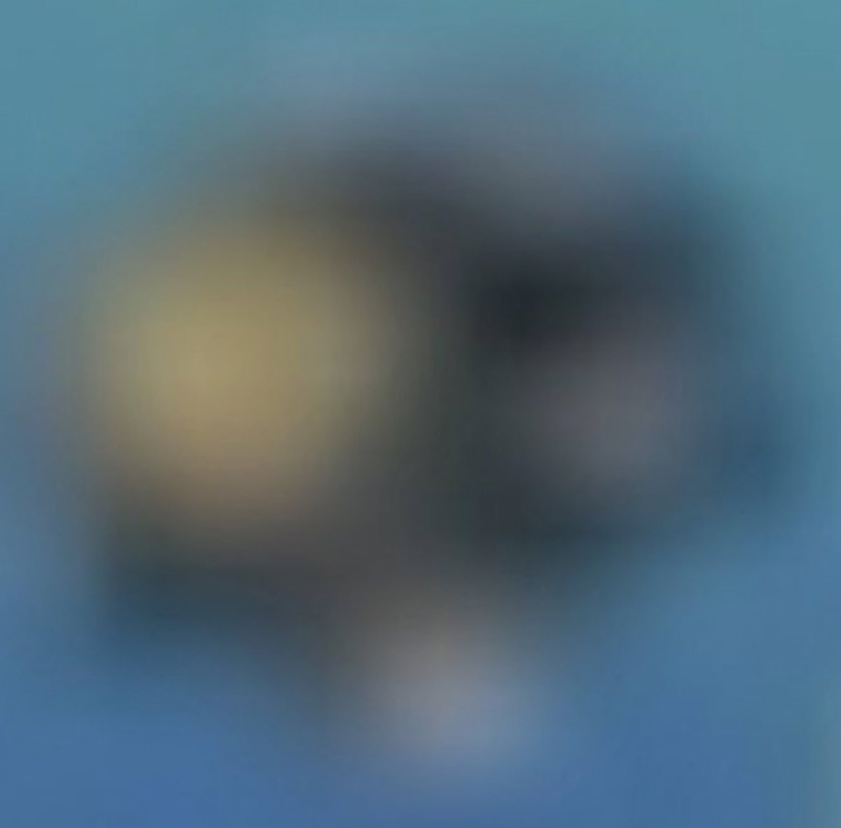 Aidanhihi #Teamiceking tweet media