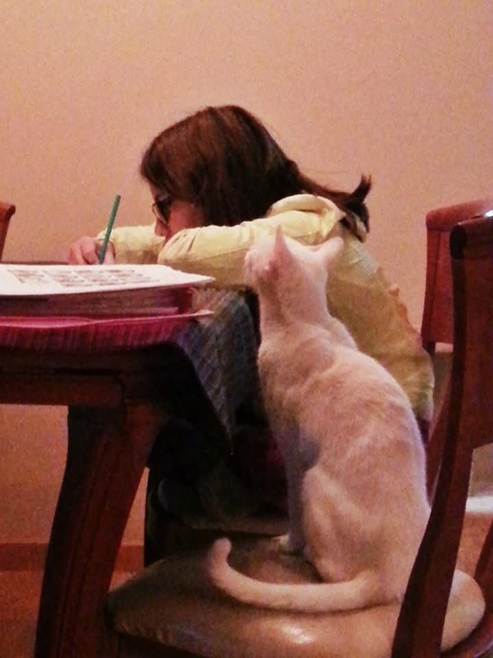 Vega_space tweet media