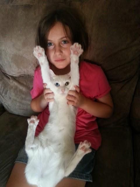 Vega_space tweet media