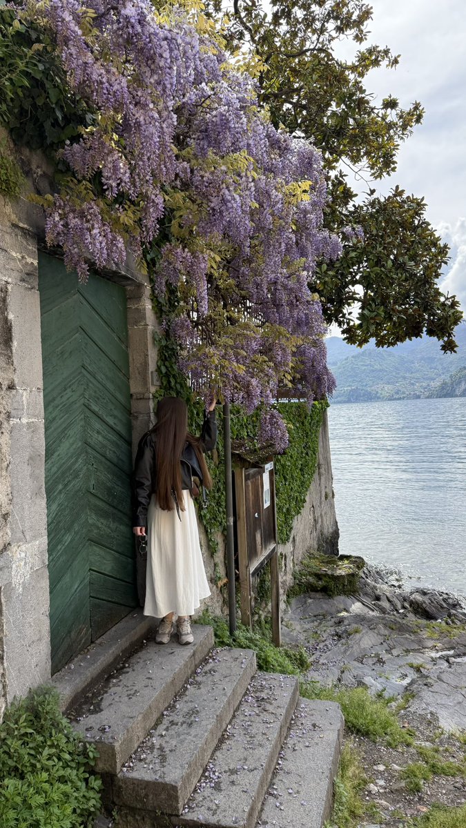 Жульєн tweet media