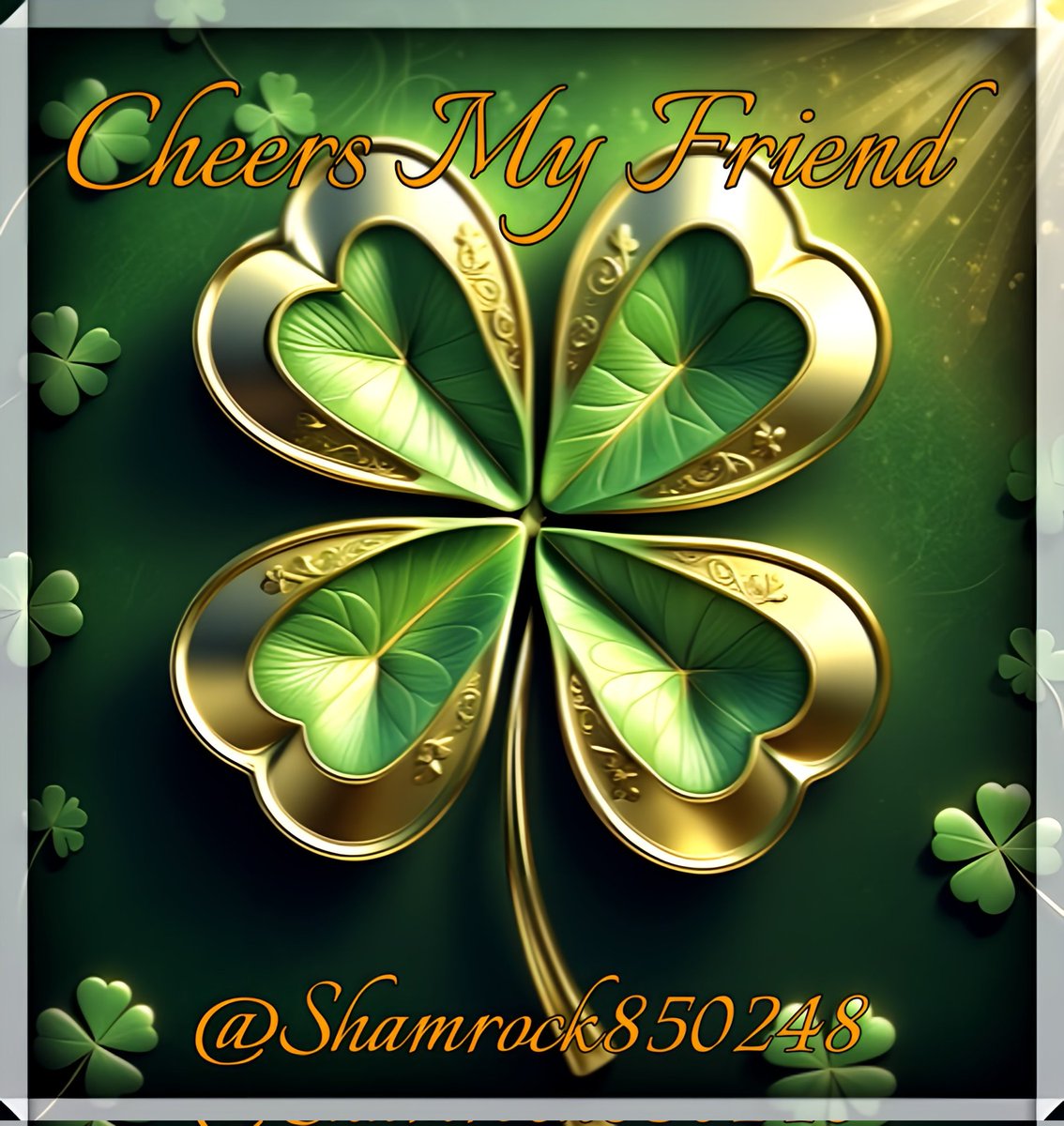 Shamrock tweet media