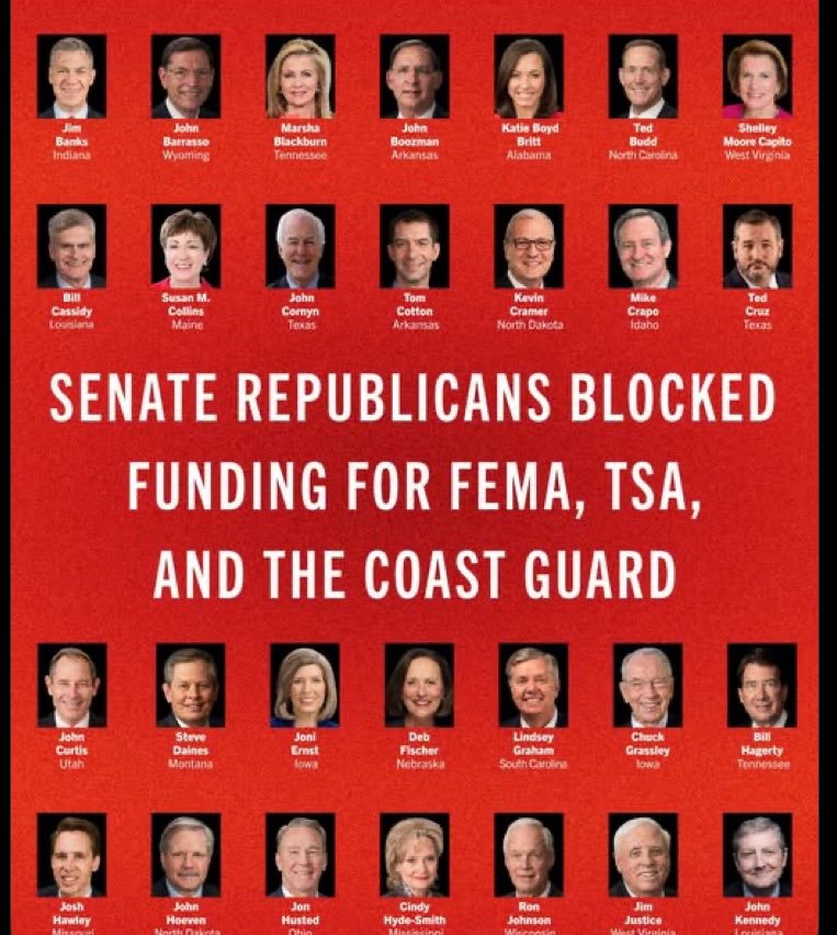 BlueViking💙 tweet media