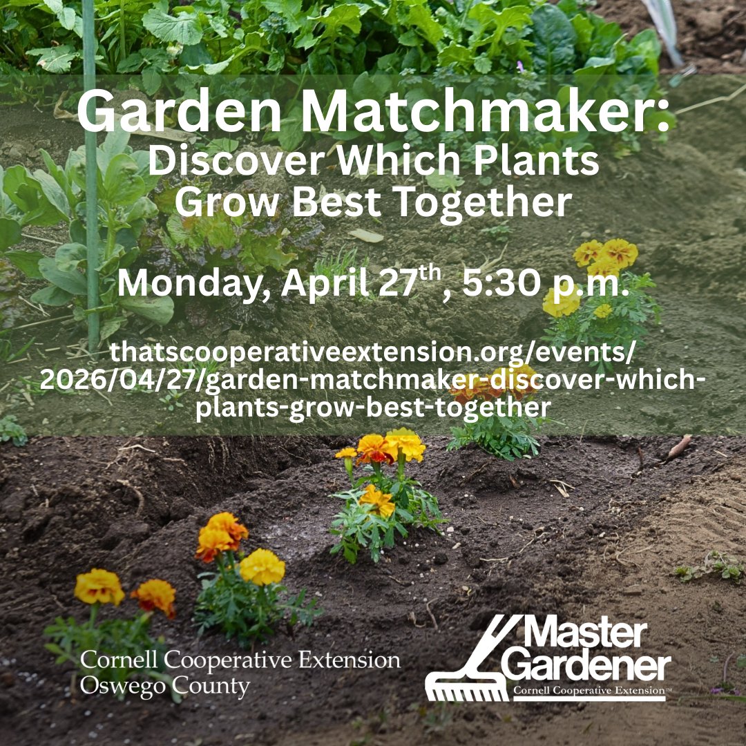 CCE Oswego tweet media