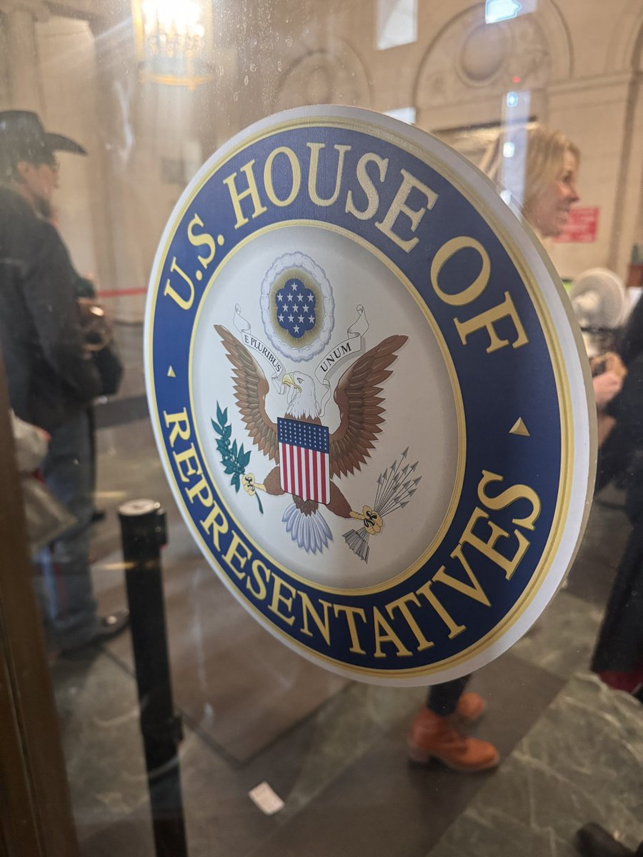 Julia Fello tweet media