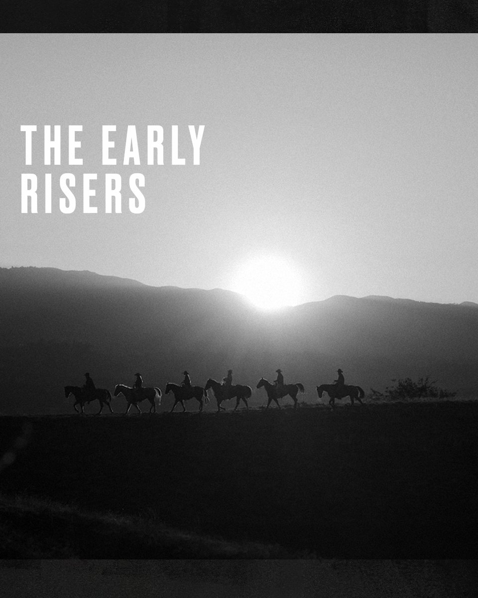 805 Beer tweet media