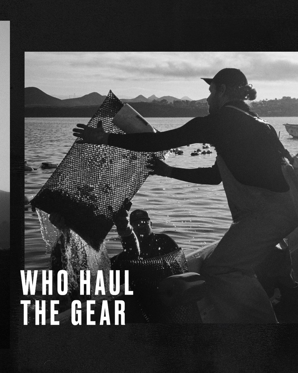 805 Beer tweet media