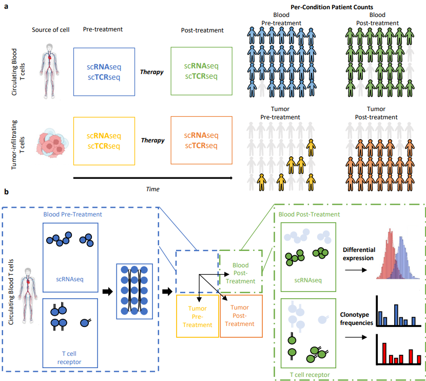 Eric and Wendy Schmidt Center tweet media