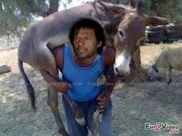 Political Majesty tweet media