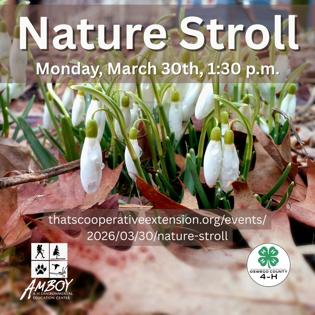 CCE Oswego tweet media