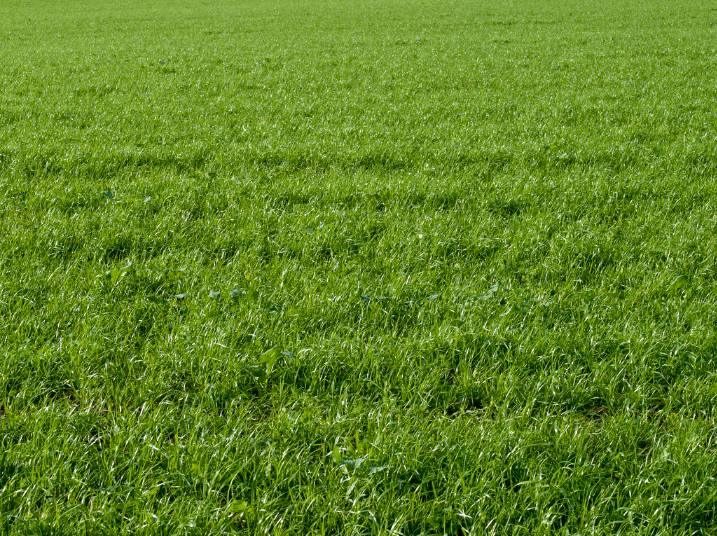 Louisville Air Pollution Control tweet media