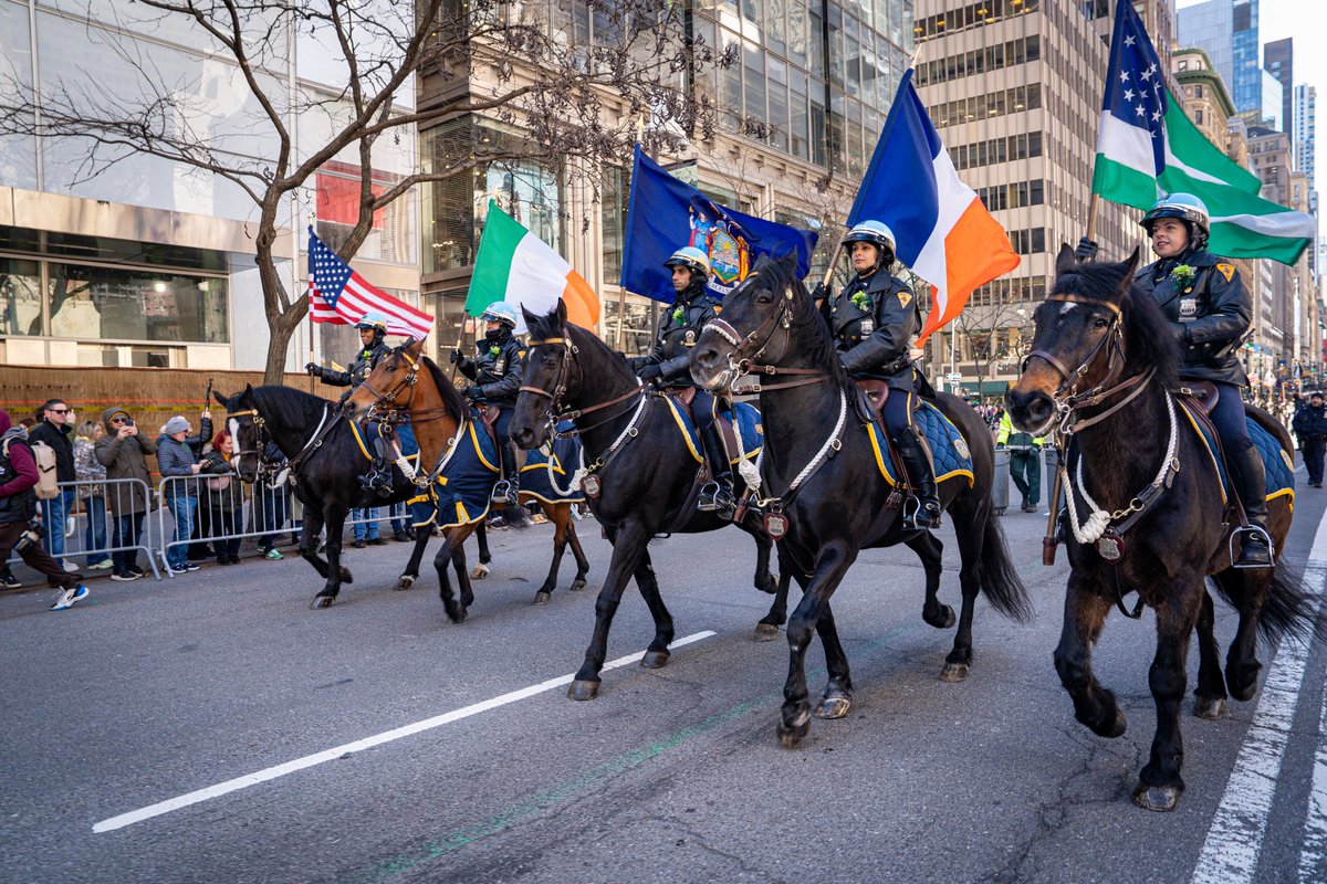 NYPD NEWS tweet media