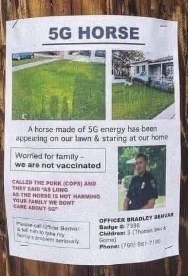 Schlafsheep 📯🇩🇪🇪🇺🇺🇦🌻 tweet media