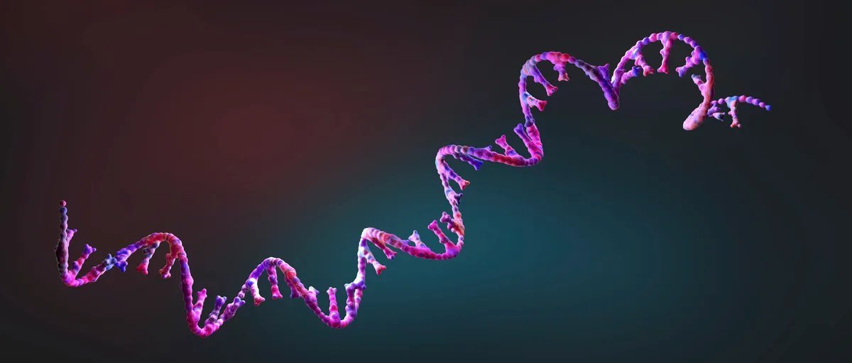 إياد الحمود tweet media